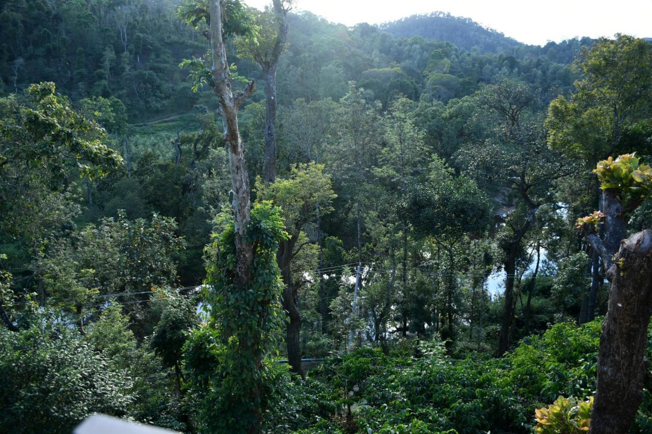 River View Guest House Madikeri Zewnętrze zdjęcie
