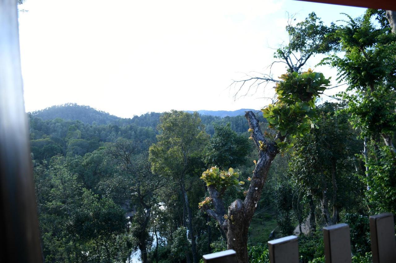 River View Guest House Madikeri Zewnętrze zdjęcie